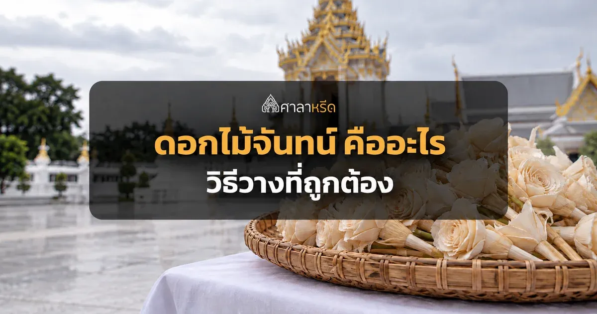 ดอกไม้จันทน์ คืออะไร ความหมาย วิธีวาง คำกล่าว และราคา